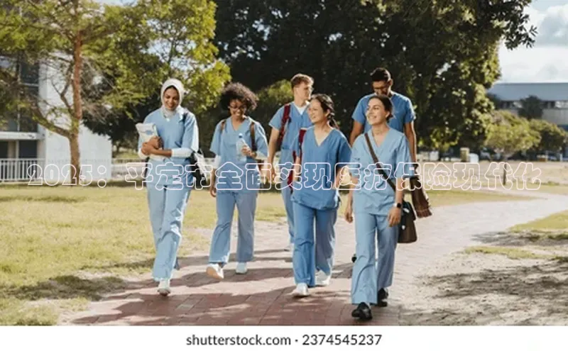 杏宇注册平台登录